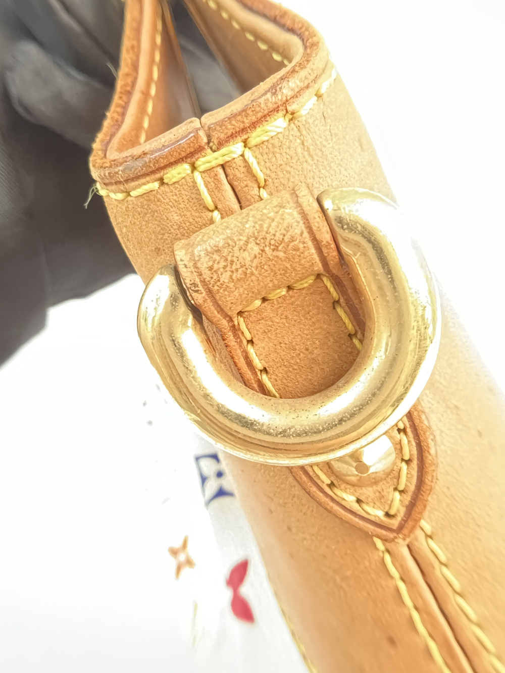 Louis vuitton Takashi Murakami Bags